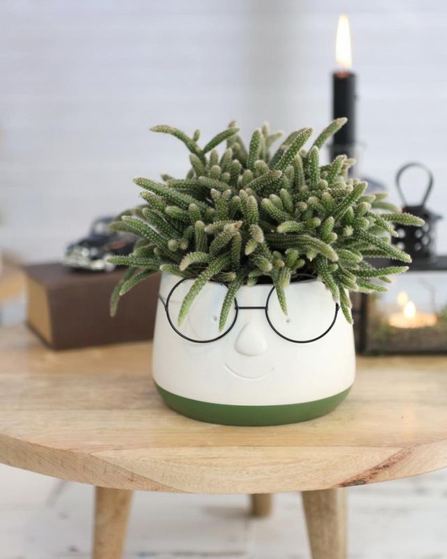 Pot met bril - Green