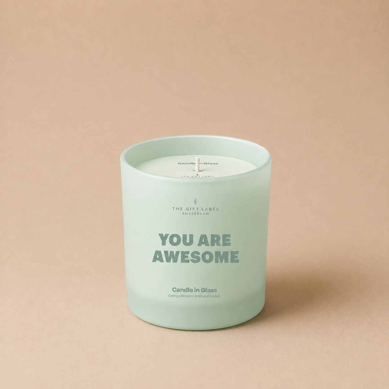 Frosted Candle 170gr - You Are Awesome