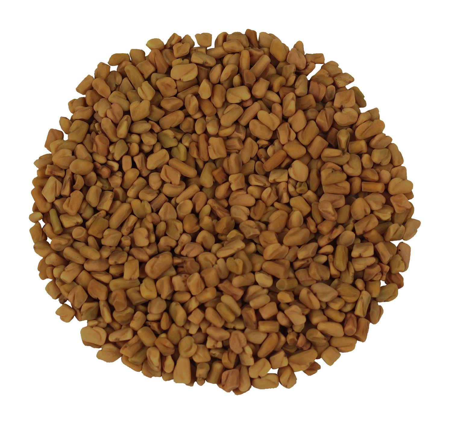 Whole Fenugreek: aromatic seeds, used to flavor curries and marinades, providing a warm and sweet flavor.