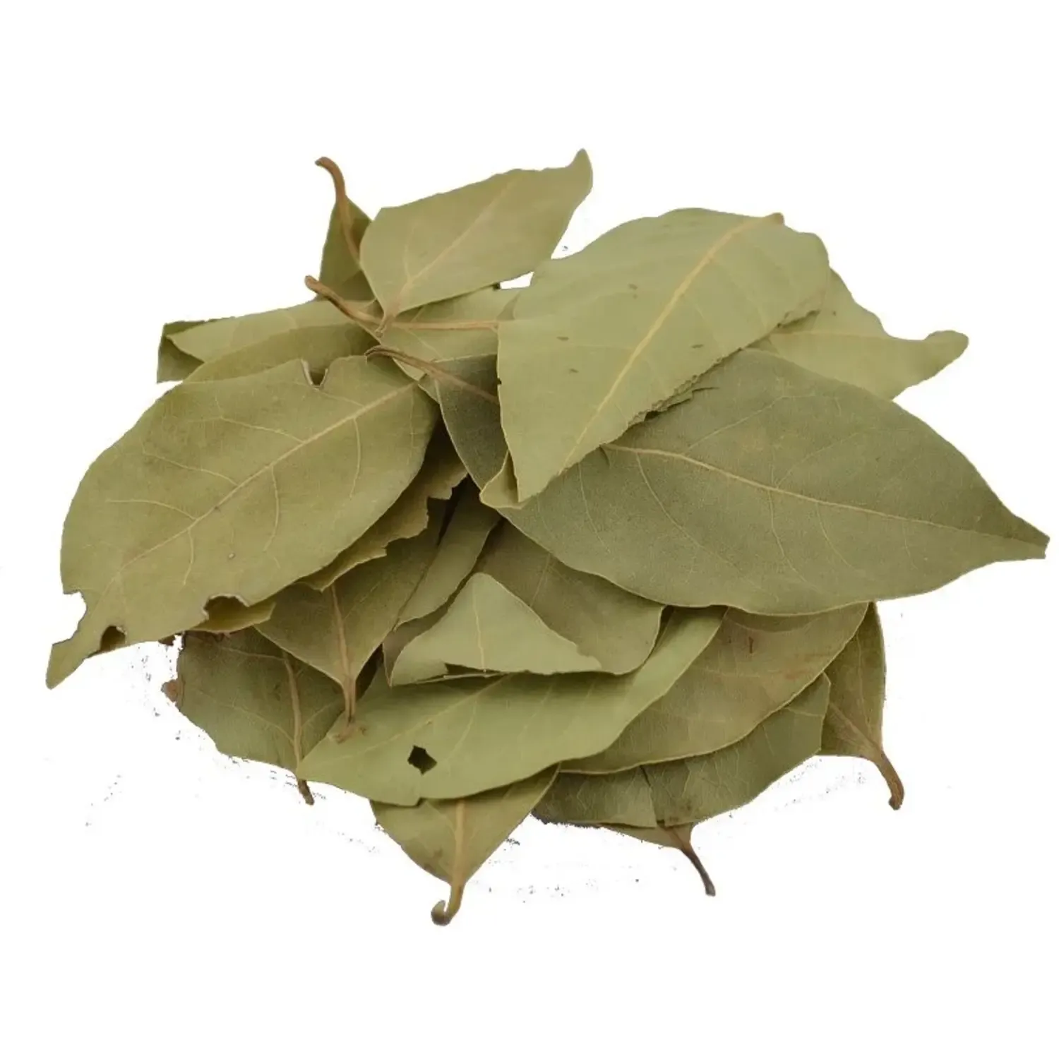 Bay leaf: essential herbs in cooking, used to flavor dishes.