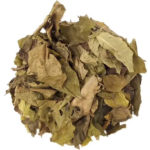 Curry leaves: aromatic dried leaves, used as a spice in Indian cooking