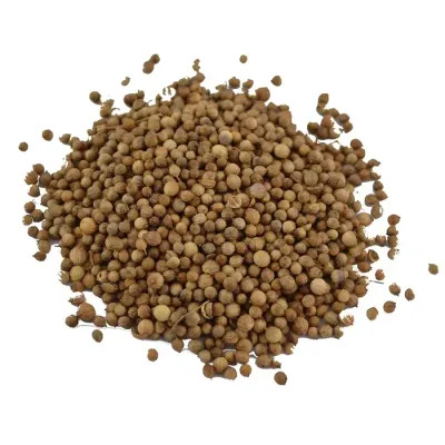 Whole coriander: dried coriander seeds, round and light beige in color