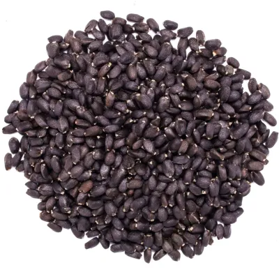 Black basil seeds, small and oval, intended for planting to cultivate this aromatic herb.