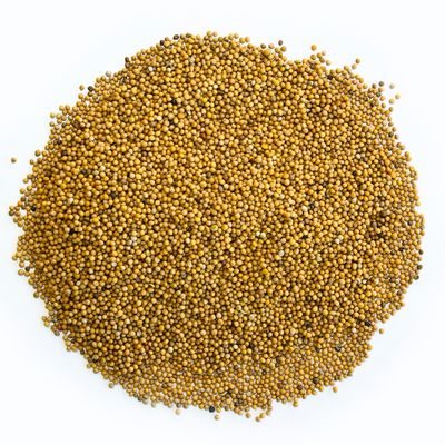 WHOLE MUSTARD SEEDS: small, round, yellow to brown seeds with a spicy, aromatic flavor