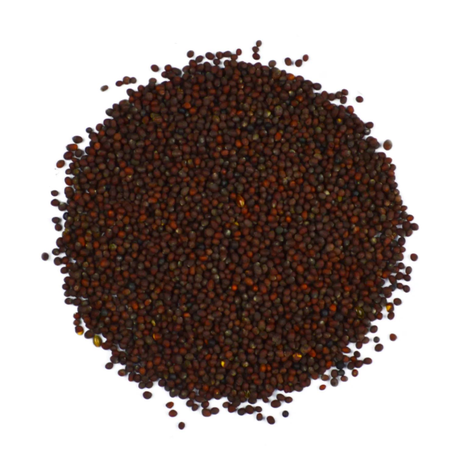 MOSTERDZAAD BRUIN HEEL 1 KG.