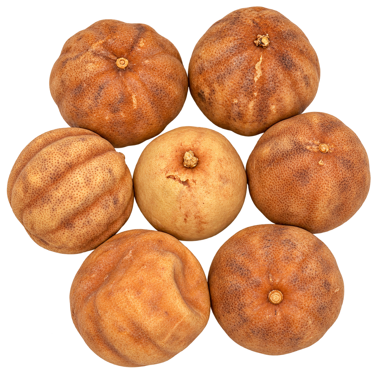 GEDROOGDE LEMOEN WIT 1 KG.