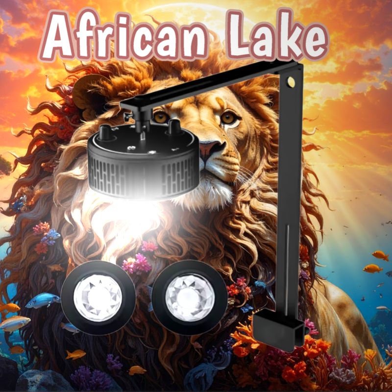 African Lake
