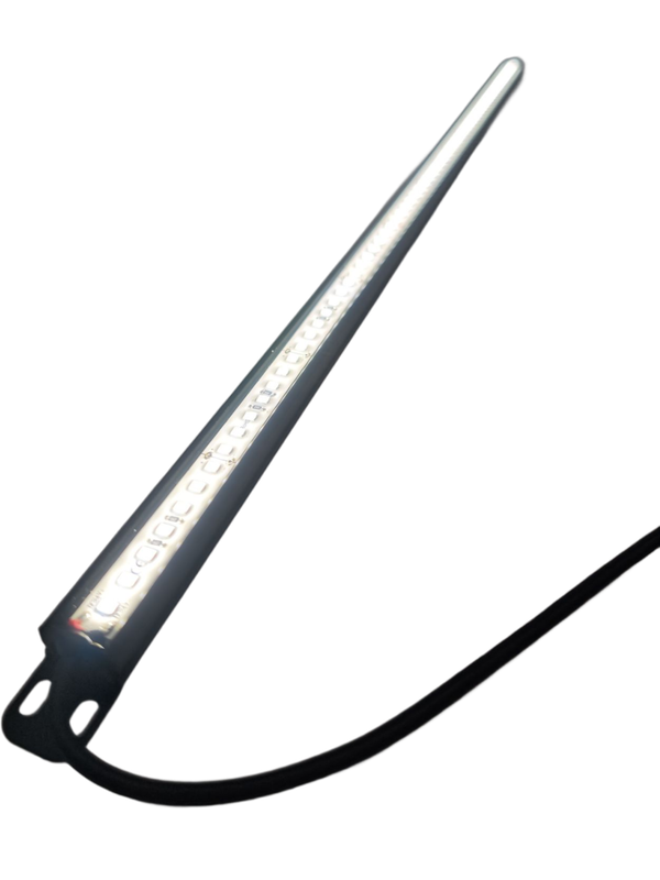 Natürliches Tagweiß 50cm "Thrive"