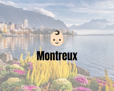 Cours PED à Montreux Cours PED à Montreux