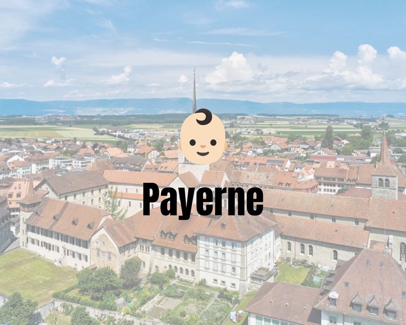 Cours PED à Payerne