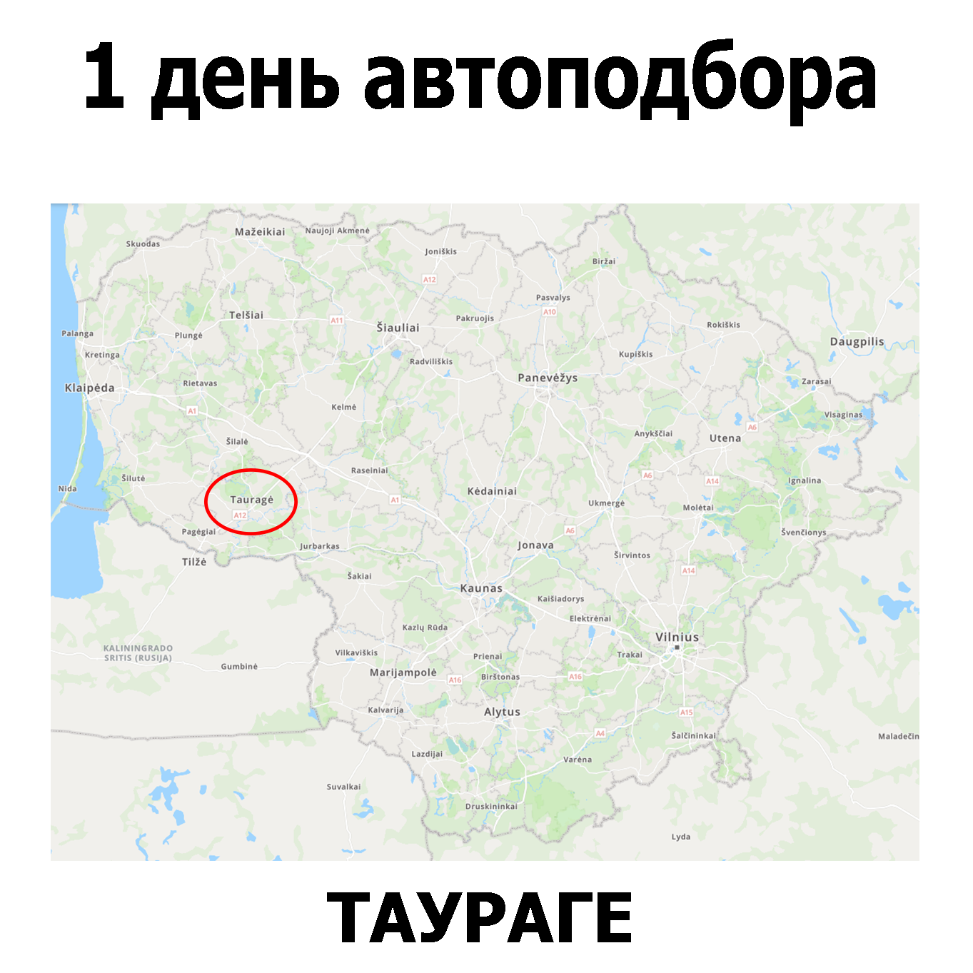 Один день совместного подбора Таураге