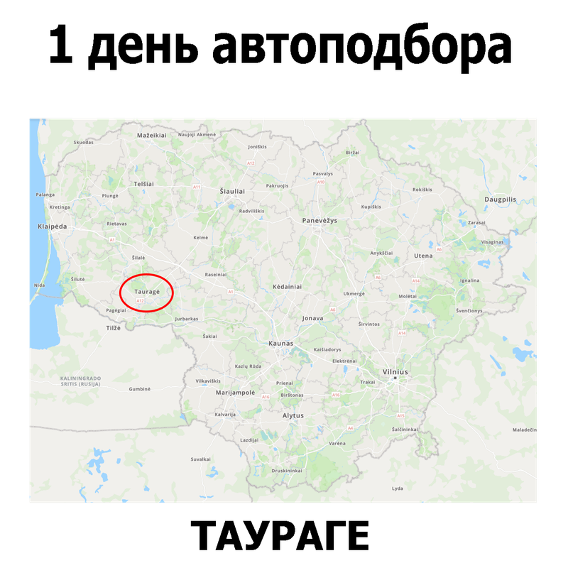 Один день совместного подбора Таураге