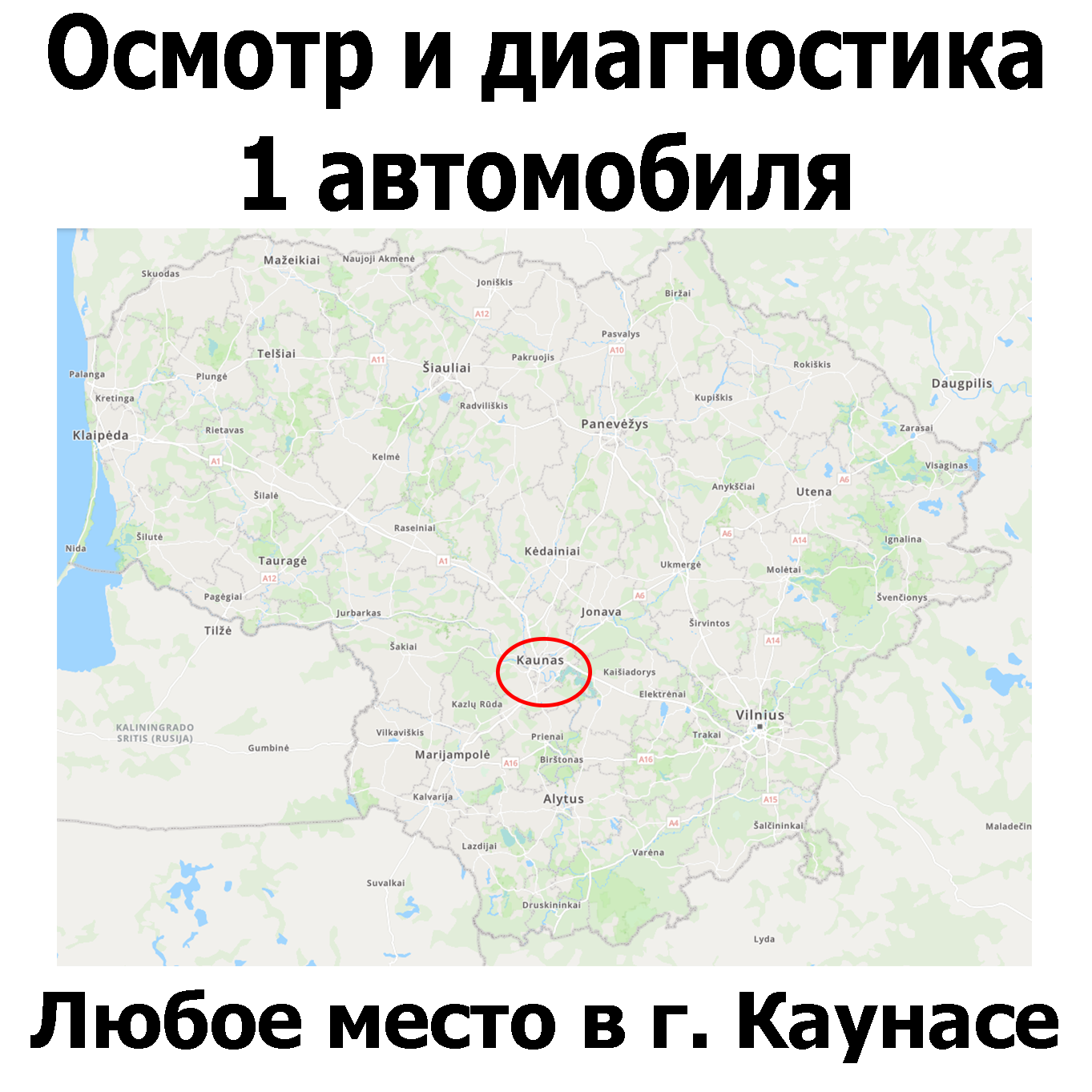 Осмотр 1 автомобиля Каунас любое место