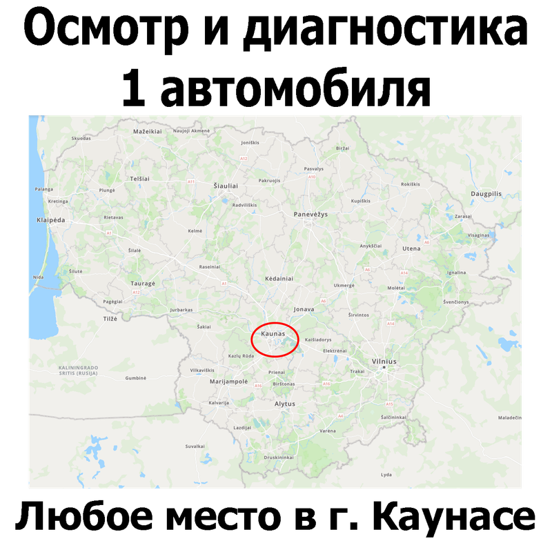 Осмотр 1 автомобиля Каунас любое место