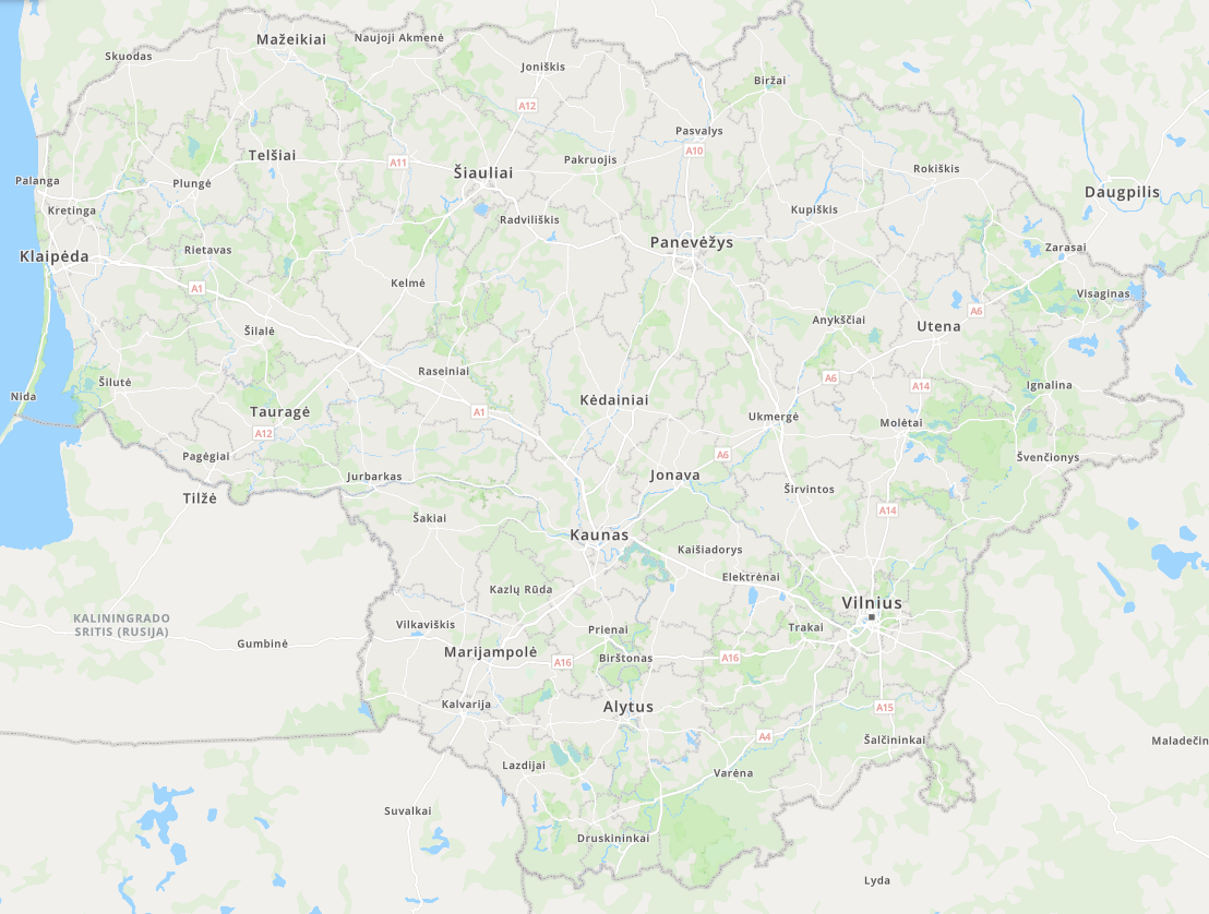 Осмотр одного согласованного автомобиля в согласованном месте в Литве