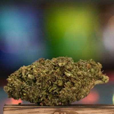 Delta 10 THC - Flower - Crunch Berries (5-10%)
