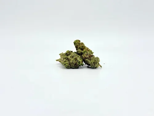 THCA - Small Flower - Critical Kush #10/01