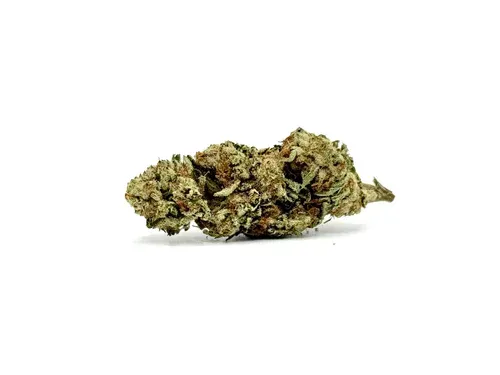 THCA - Mid Flower - Blueberry Muffin #5/13