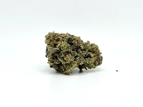 THCA - Top Shelf Flower - Gelato King #8/19