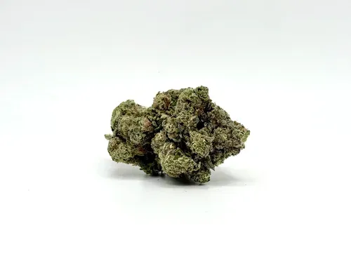 THCA - Exotic Flower - Gascotti #8/19
