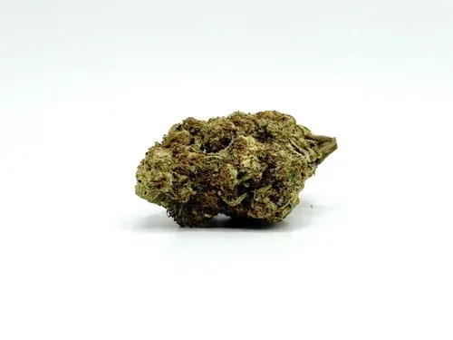 THCA - Small Flower - Blueberry Muffin #8/19