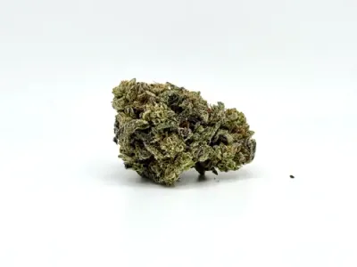 THCA - Top Shelf Flower - Gelato King #9/3