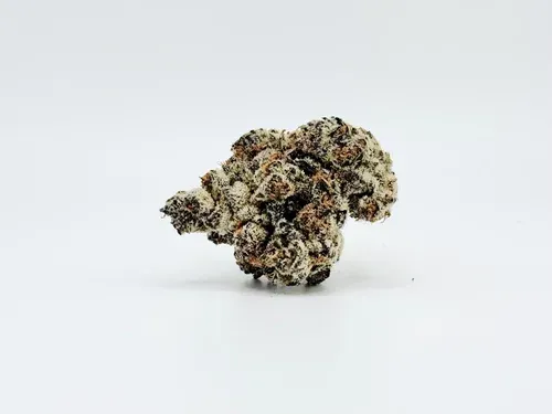 THCA - Exotic Flower - Black Piranha