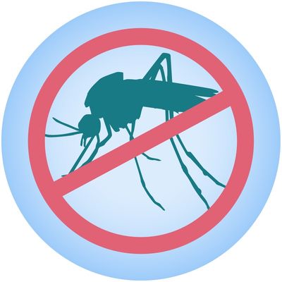 Insect Control