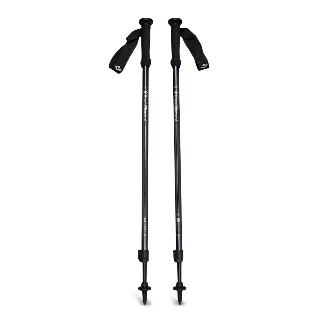 Black Diamond Explorer 2 Trekking Poles, Colour: Ink Blue