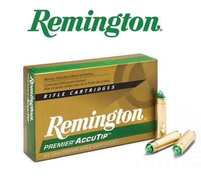 Remington 243 Win 95 Grain  Accutip