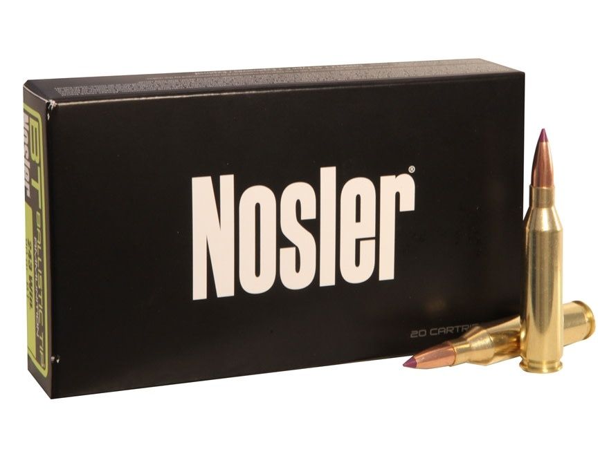 Nosler 243 Win 90 Grain BallisticTip