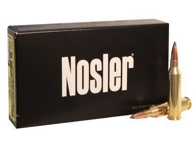 Nosler 243 Win 90 Grain BallisticTip