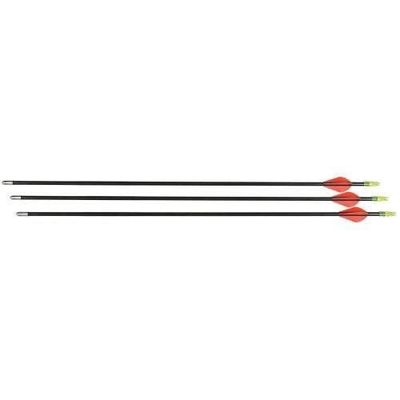 Allen Fearless Fiberglass Youth Arrows