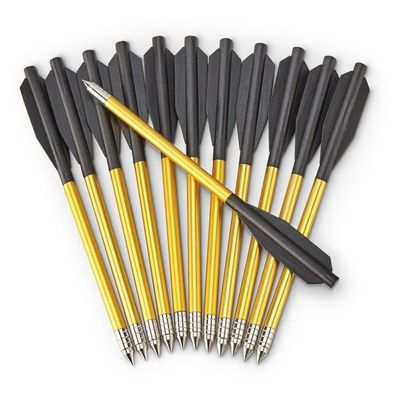 Bear Archery Desire XL Crossbow Bolts, 12/Pack