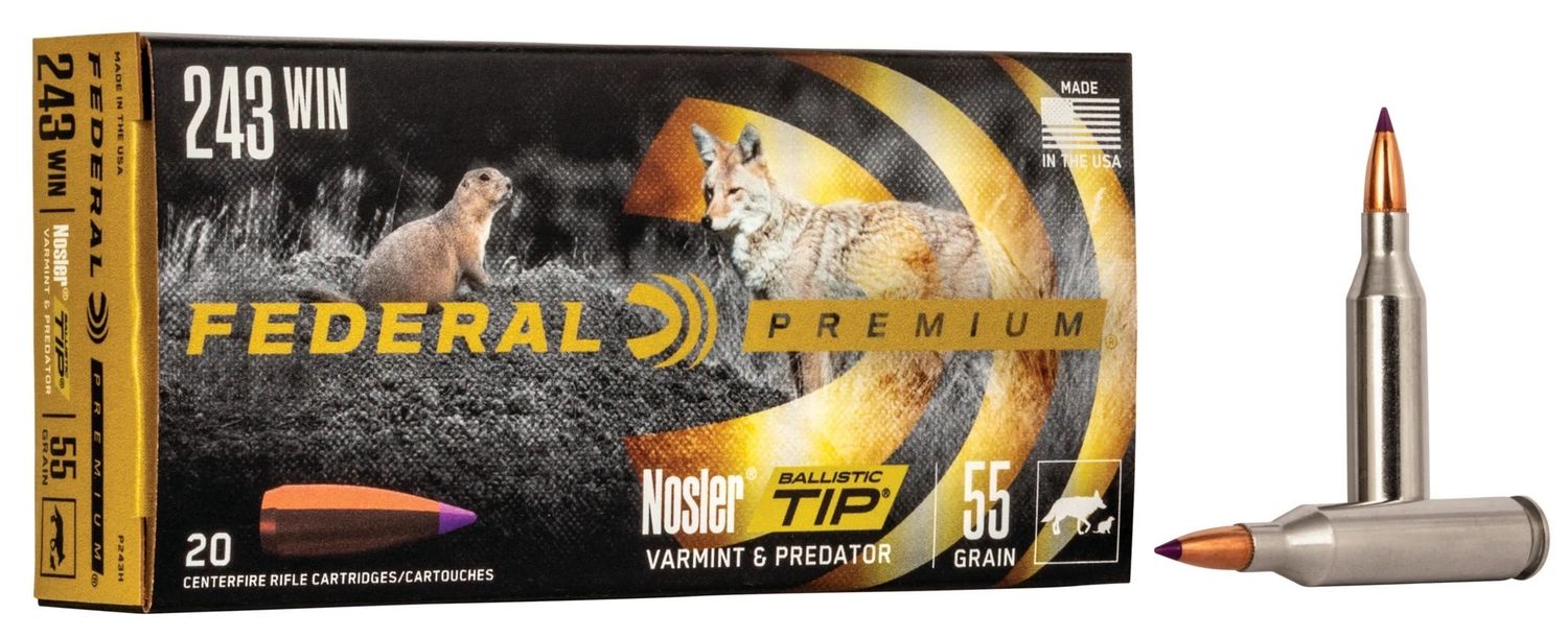 Federal Premium 243 Win 55 Grain Nosler Ballistic Tip