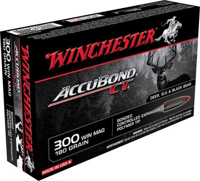 Winchester 300 Win Mag 180 Grain Accubond