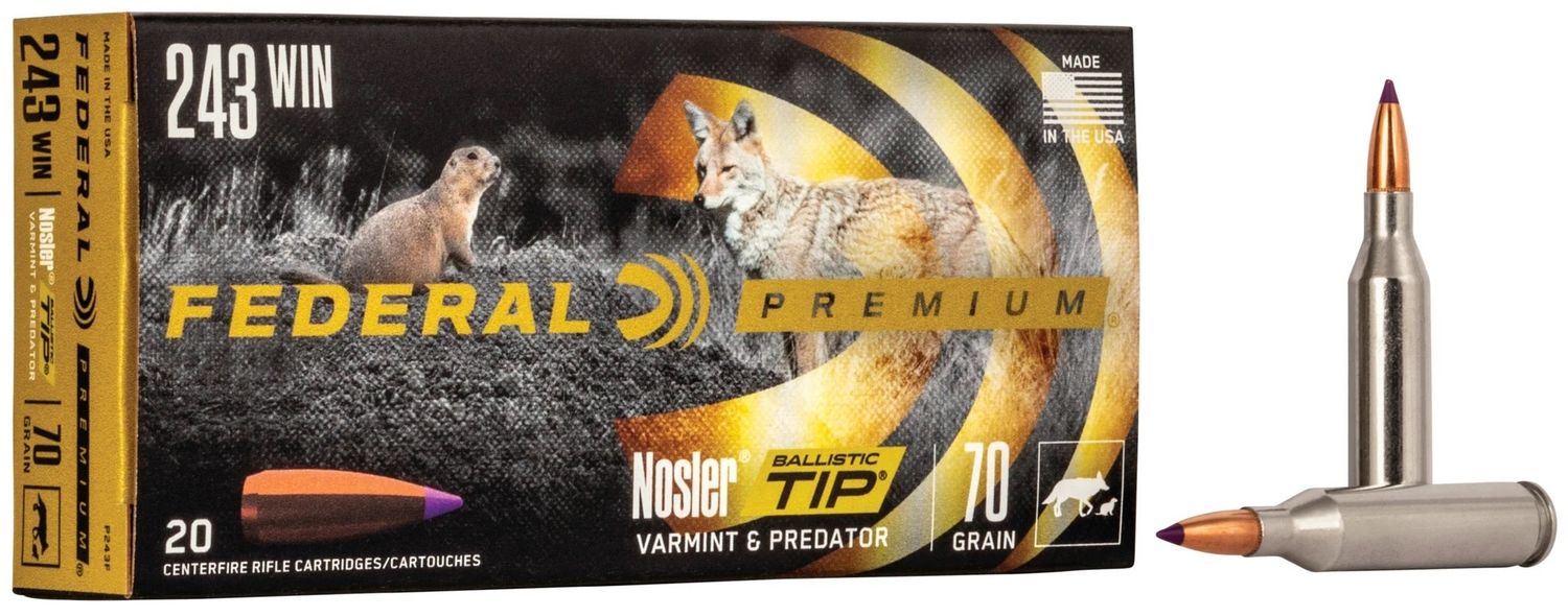 Federal Premium 243 Win 70 Grain Nosler Ballistic Tip