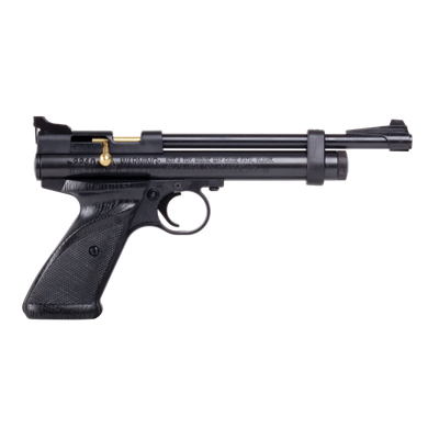 Crosman 2240 CO2 Bolt Action Air Pistol .22 Cal 460 fps