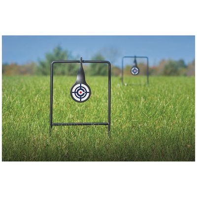 Crosman Dual Spinner Pellet Rifle Target
