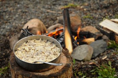 TrailFare Beef Stroganoff (Pouch)
