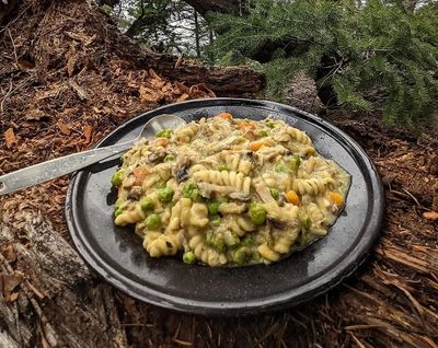 TrailFare Chicken Stew  (Pouch)