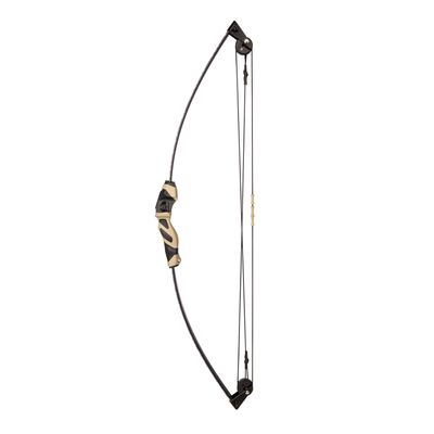 Barnet t Wildhawk Compound Bow