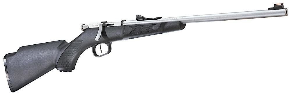 Henry Mini Bolt, Stainless Steel Synthetic Stock 22 LR