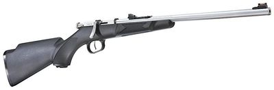 Henry Mini Bolt, Stainless Steel Synthetic Stock 22 LR