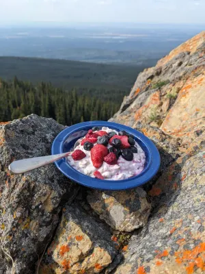 TrailFare Icelandic Skyr and Granola