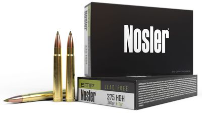 Nosler E-Tip 375 H&amp;H 260 Grain E-Tip Boat Tail
