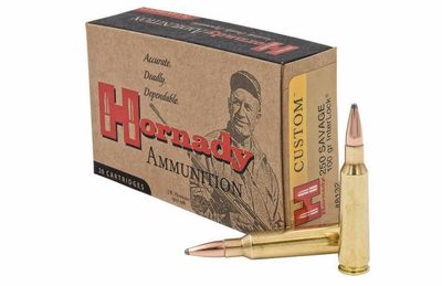 Hornady 250 Savage 100 Grain InterLock