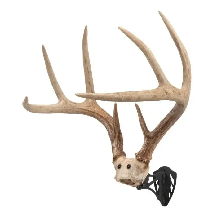 Allen EZ Mount Horn Bracket, Black
