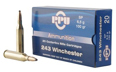 PPU 243 Win 100 Grain Soft point
