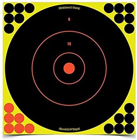 Birchwood Casey  Shoot•N•C 12 Inch Bull&#39;s-Eye, 5 Targets with 120 Pasters